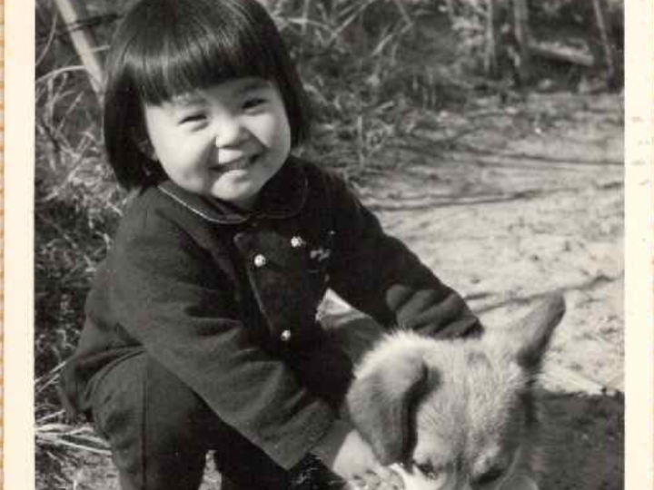 記憶は嘘つきだというけれど山犬保育園だったとは知らなかった私